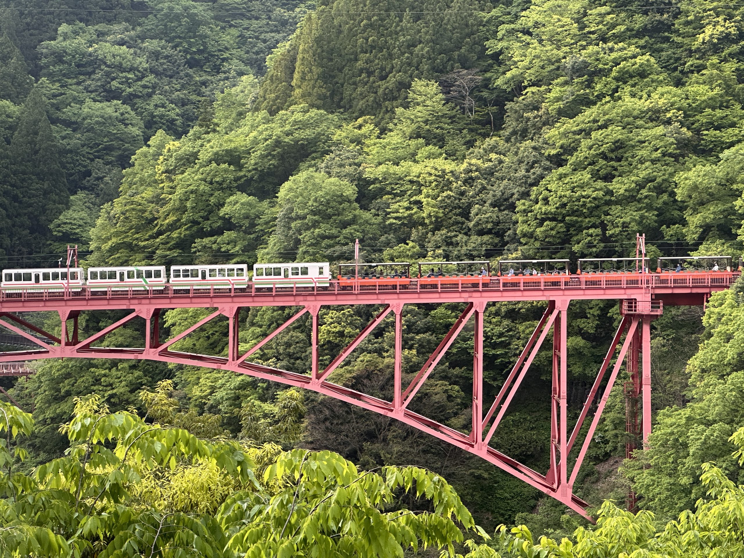 Japan ALPS ~ Tateyama Kurobe Alpine Route with Flower Viewing