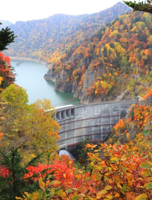 Beautiful Autumn Hokkaido Maple Tour
