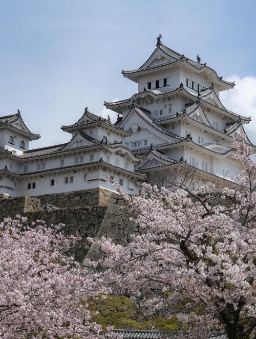 Shikoku Spring Sakura Discovery