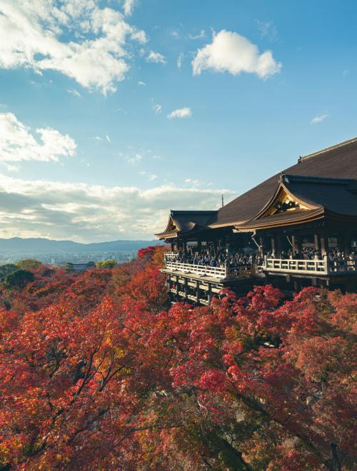 Autumn in Osaka & Tokyo (I)