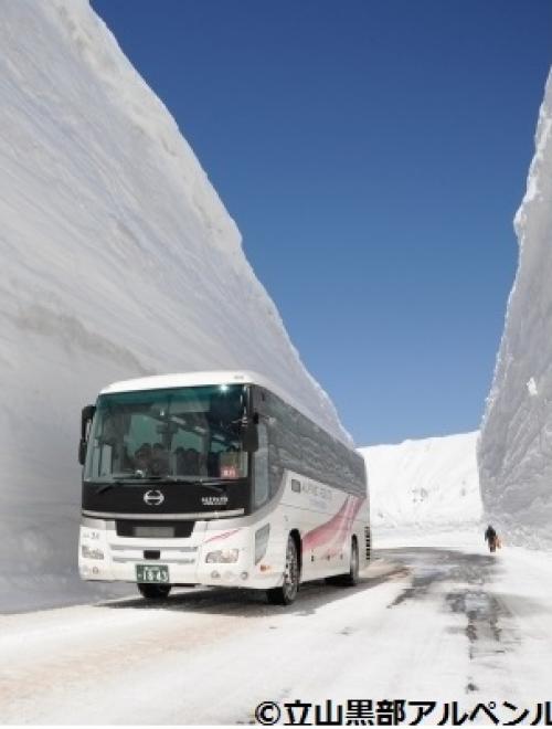 Japan ALPS ~ Tateyama Kurobe Alpine Route with Flower Viewing