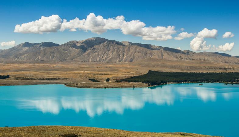 Adventures to New Zealand