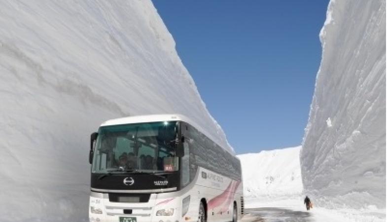 Japan ALPS ~ Tateyama Kurobe Alpine Route with Flower Viewing