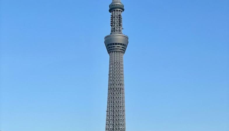 Christmas Shopping in Tokyo