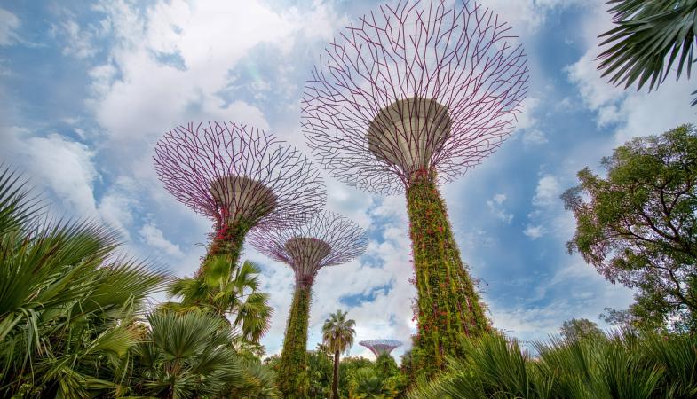 Fall Break in Singapore & Thailand